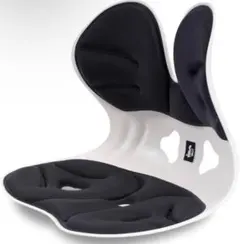 【ドイツ レッドドット賞受賞ブランド】(デズヤ）第二世代 姿勢矯正 椅子登場！