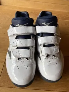 Item thumbnail for item c656c8f5-5433-4eb9-b8cb-5cfe244fd341