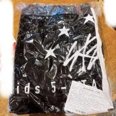 straykids スキズ 5-STAR アップグレード 特典 タオル