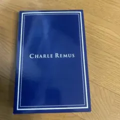 こだま様 リクエスト 2点 まとめ商品