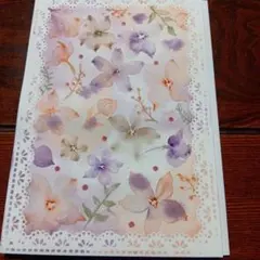 ボタニカルアート　手描きイラスト　水彩画