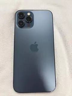 iPhone 14 Pro Max 256GB ジャンク 水没 - メルカリ
