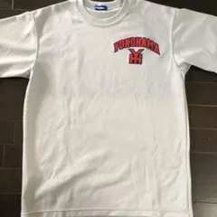 Item thumbnail for item c4db98ec-ea8c-495b-9365-1e064e41584a