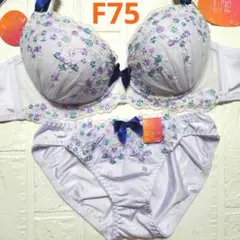F75 L 新品未使用 ブラショーツセット 936301 パープル フラワー刺繍