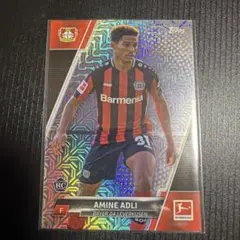 Item thumbnail for item 04c52597-2fe4-475f-8842-74e5fdfefa25