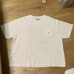 Item thumbnail for item afe17ead-f4bd-4d28-8c08-c88a24b76afc