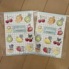 JOCHUM ジェオチャム　ステッカー　2枚セット