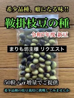 まりも坊主様 リクエスト 2点 まとめ商品