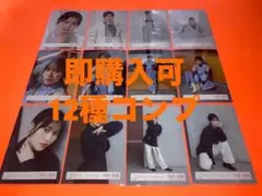向井純葉　櫻坂46 ランダム生写真　12種コンプ