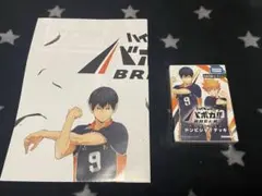ハイキュー ファンパーク 入場特典 来場者記念品 バボカ ドンピシャ!!デッキ