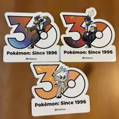 中国限定 ポケモンカードゲーム イワンコ&ルガルガン三種類 マグネット