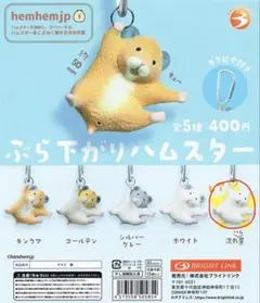 ぶら下がりハムスター レア　ガチャガチャ