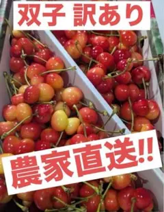 不定期販売◽️双子 訳あり◽️山形県東根市産 さくらんぼ 佐藤錦 資材込み約1kgのサムネイル