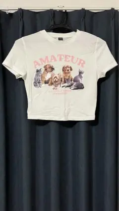 Item thumbnail for item 988cbc5b-716c-48b2-a017-34d1f3e401b3