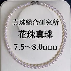 花珠真珠　真珠総合研究所鑑別書付き　大珠7.5～8.0mm パールネックレス