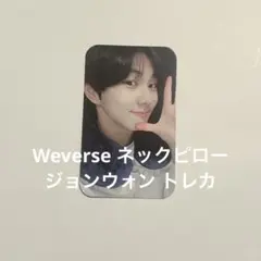 ENHYPEN ジョンウォン ネックピロー トレカ Weverse shop