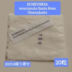 *ぷーさん*様 リクエスト 3点 まとめ商品