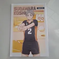 ハイキュー!! 菅原孝支 ポストカード