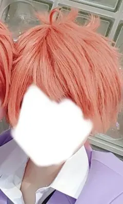桜蘭高校ホスト部 藤岡ハルヒ ウィッグ - メルカリ