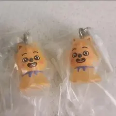 スキズ　めじるしアクセサリー　skzoo