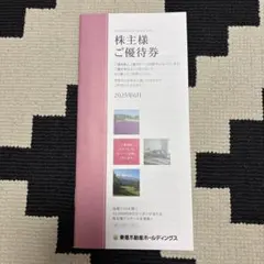 【未使用】東急不動産ホールディングス　株主優待　1,000株以上5,000株未満