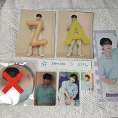 チャンビン 2024日本シーグリセット