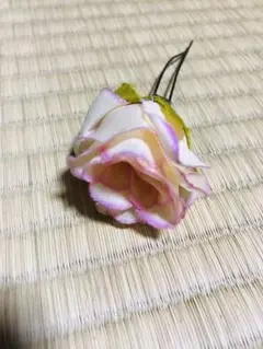 Item thumbnail for item 2c9df13c-af89-4a1b-bac1-a7c381f0aafd