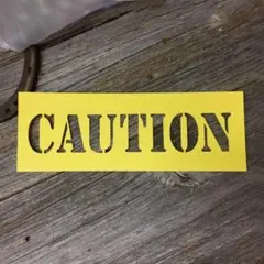 Item thumbnail for item 89a6de5d-204b-4a58-8c5c-8ca642f585f8