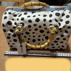 Lesportsac 水玉模様／最終お値下げさせて頂きます。のサムネイル