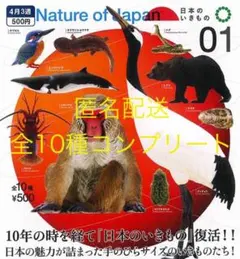 ネイチャーオブジャパン　日本のいきもの1　全10種コンプリートセット