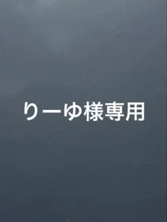 りーゆ様専用ページ