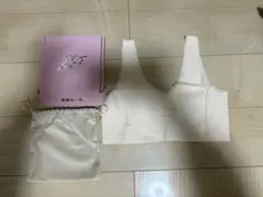 Item thumbnail for item 00f3dc6f-5ad4-4545-b78d-aa508602e6eb