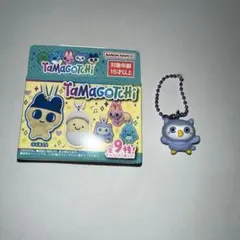 Tamagotchi たまごっち　チョコボックス　ほーほっち