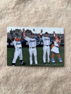 2026年最新】プロ野球チップスカード 大谷 2014の人気アイテム - メルカリ