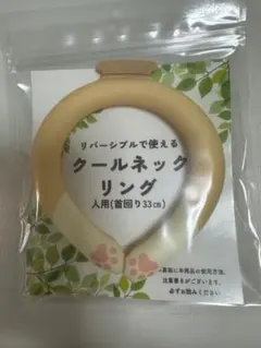 Item thumbnail for item 5aa18e10-20a4-4f87-8a0b-381735bbcf88