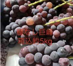 加工用　5kg 天草産露地枇杷　無農薬 天草産 無農薬 露地枇杷 約2.6kg - メルカリ