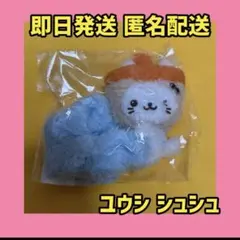 nct wish doll SCRUNCHIE シュシュ シオニン シオン - メルカリ