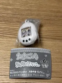 Item thumbnail for item 918e199e-ac3e-4886-9bc7-f5ce20685e26