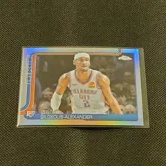 2026年最新】shai gilgeous alexanderの人気アイテム - メルカリ