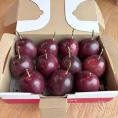 週末セール★【農薬不使用】奄美大島産 完熟パッションフルーツ 小玉11個のサムネイル