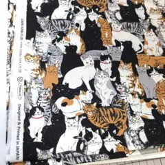 Item thumbnail for item f3238752-dc95-48ae-b2e5-505ecfa4d10e