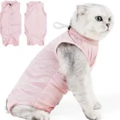 Item thumbnail for item 43cb84d9-b7fe-4e2e-a78f-cf527392cde5