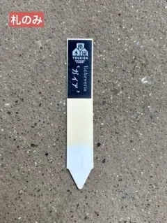 2025年最新】優木園の人気アイテム - メルカリ