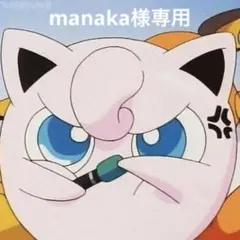manaka様専用ページ
