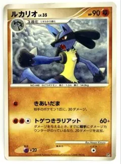 ルカリオ lv.35 対戦スターターパック ヒードランVSレジギガス きあいだま