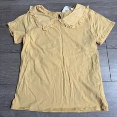 Item thumbnail for item f9de2db2-8cd5-44dc-8110-bdfd41d05a25