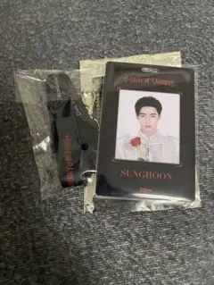 ENHYPEN ソンフン HOUSE OF VAMPIRE アドミッションパス