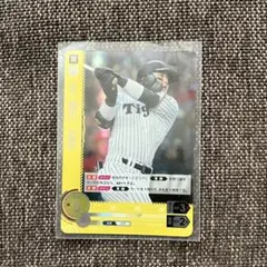 ドリームオーダー　プロモ　前川右京