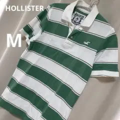 ⭐️HOLLISTER ホリスター ボーダー ポロシャツのサムネイル