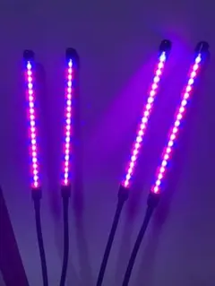 Item thumbnail for item 63a6b48f-13b7-4579-b490-3e8ba3abd49f